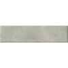 Miniature Cera Grigio Cenere 2.5X9.5Velvet