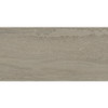 Cove Greige 12" x 24" Rectangle Unpolished