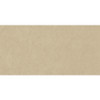 Playlist+ Classical Beige 12X24 Nat