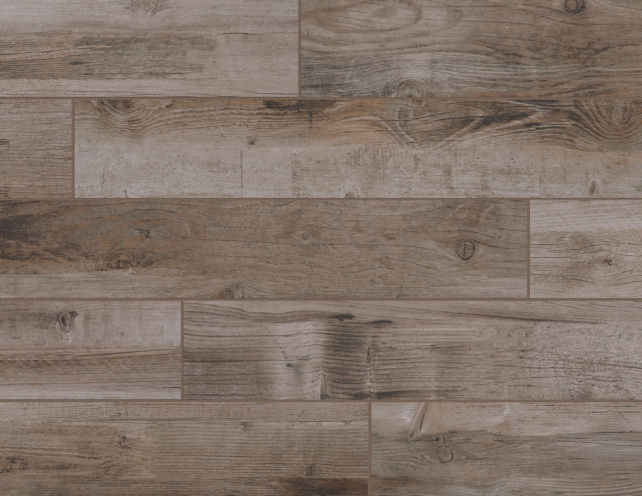 Bryson Valley Petrified Forest Porcelain 8x48 - Tiles Direct Store