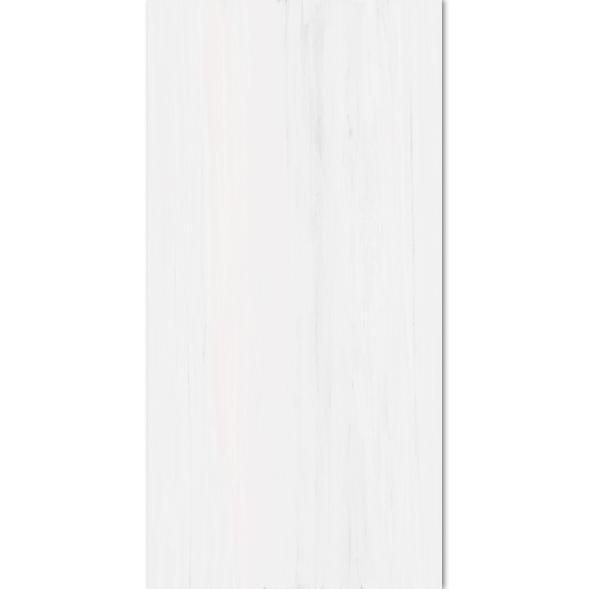 Biancospino Matte Rectified Porcelain 24x48 - Tiles Direct Store
