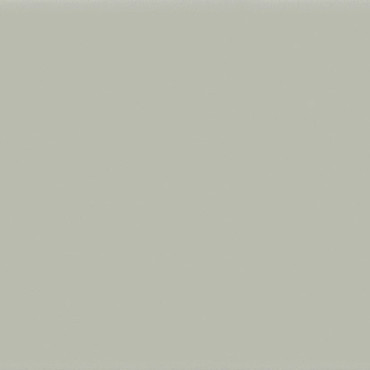 Soft Sage