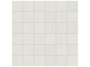 ビアンカです！ Bianco_2x2__77330.1633358742.