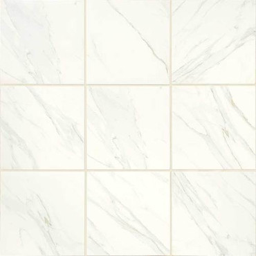 Florentine Collection - Carrara Matte Porcelain 12x12