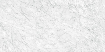 La Marca Carrara Gioia Polished Rectified 24x48 (4500-0831-0)