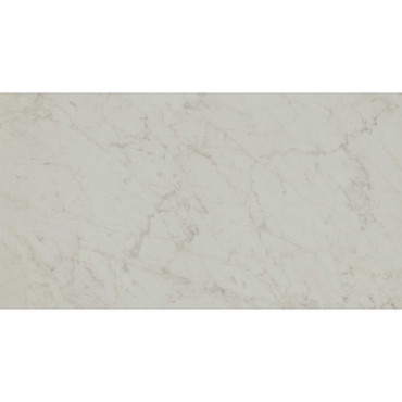 Marmorea Carrara Matte 12X24