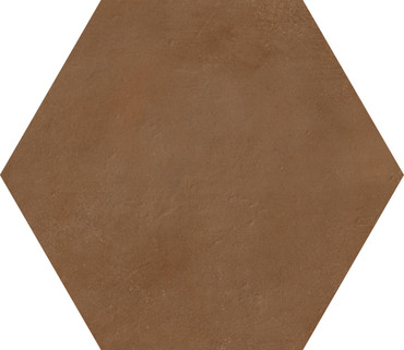 Earthen Terracotta Hexagon 10X10 Matte
