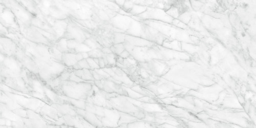 Plata Carrara Abisso Matte Porcelain 24x48 (4500-0960-0)