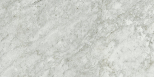 Marmi Carrara Matte Porcelain 12x24