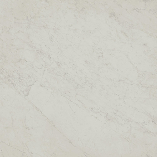 Marmorea Carrara Matte 24X24