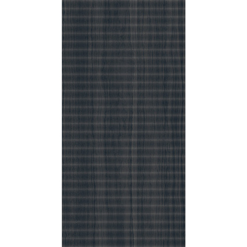 Silky Dark Matte Surf Rectified 24X48 (356Q79)