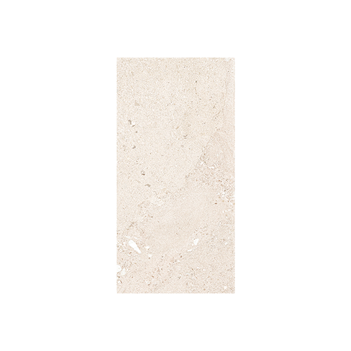 Shellstone White Matte Natural Rectified 12x24 