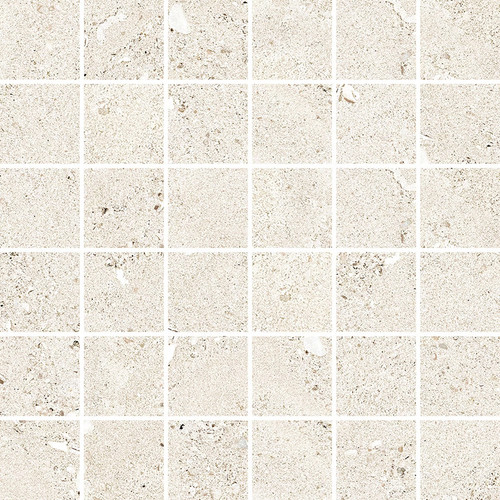 Shellstone White Matte Natural Mosaic 2x2