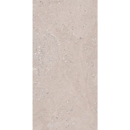 Shellstone Grey Matte Natural Rectified 24x48