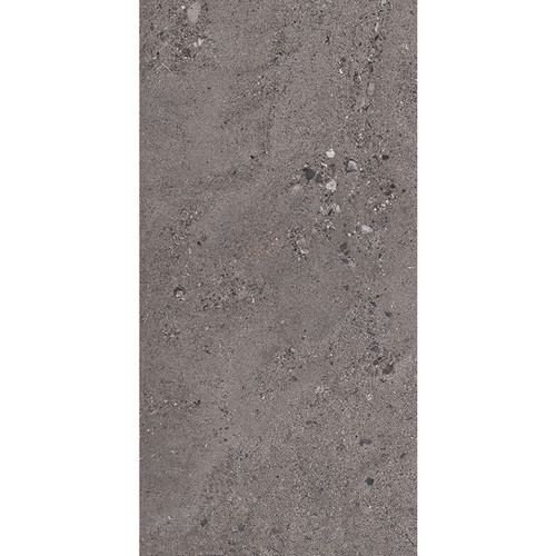 Shellstone Dark Grey Matte Natural Rectified 24x48