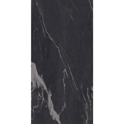 Belleza Monte Carlo Polished 24X48 (MONBL612LP)