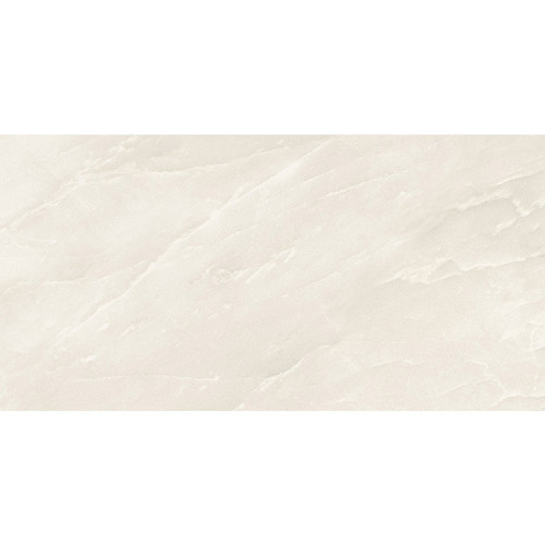 Onyx Unique 12X24 Polished 