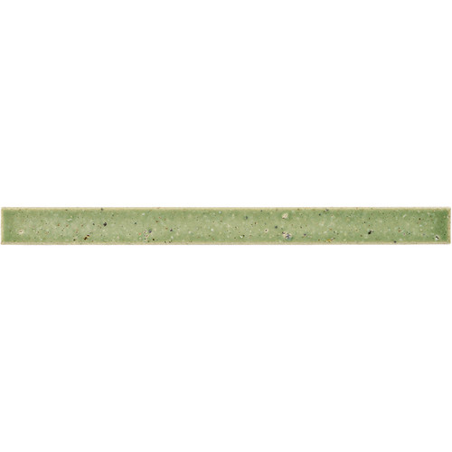 Point Lobos Kelp Forest Liner Gloss