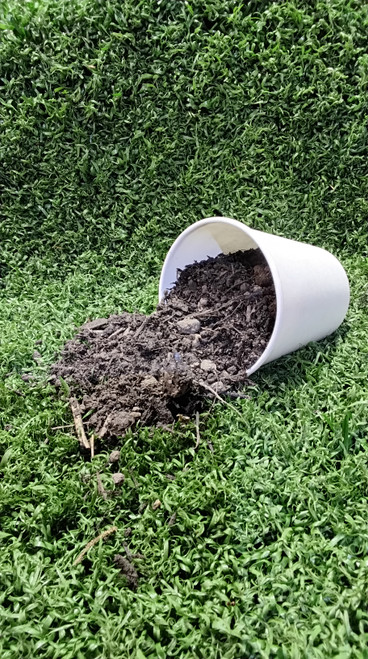 Topsoil, sandy loam , basic soil