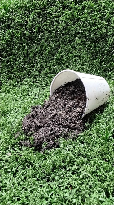 60/40 topsoil mix bulk delivery Tacoma WA – sand-compost blend for new sod rain garden and lawn leveling per cubic yard