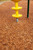 Topsoil Near Me Online Cedar-Play-Chips 