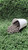 Topsoil Near Me Online Sand 
