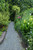 Topsoil Near Me Online 5/8"- 