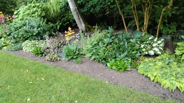 Yard and Garden compost