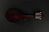 Eastman MD514 Mandolin (151)