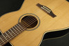 Seagull 045372 Coastline CH Momentum 6 String RH Acoustic Electric Guitar HG Discontinued