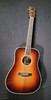Eastman E40D-Themocure Sunburst (W588)