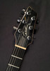 Godin 25503 XTSA Leaf Top Trans Black (W150)