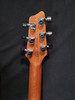 Godin 25503 XTSA Leaf Top Trans Black (W150)