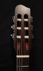 NEW Godin Multiac Nylon Encore SG Natural (W342)
