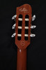 NEW Godin Multiac Nylon Encore SG Natural (W342)
