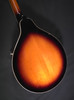 (EPICX1) Epiphone MM 30e/as Mandolin Sunburst (W229) 