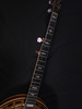 (GIBX3) Gibson Mastertone Banjo (WRB250Gold)