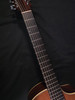 (BREDCX1) Breedlove American Series C25/CRE H-13 (W810)