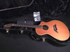 (BREDCX1) Breedlove American Series C25/CRE H-13 (W810)