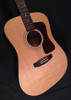 (G32) Guild D-40 Traditional (W116)