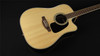 Takamine GD51CE-NAT G50 Series Dreanought Acoustic/Electric Guitar - Natural (227)