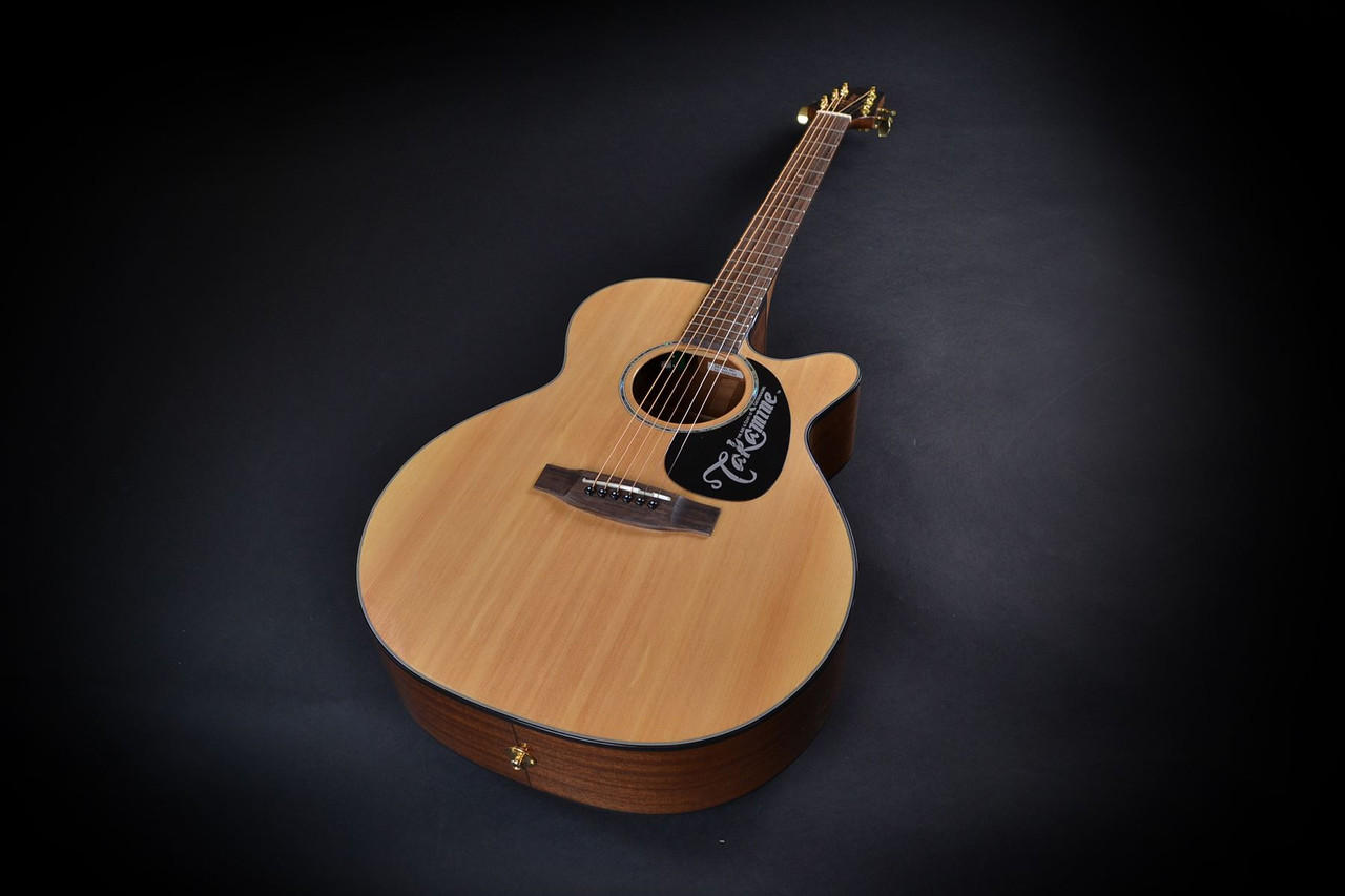 takamine g series eg440sc