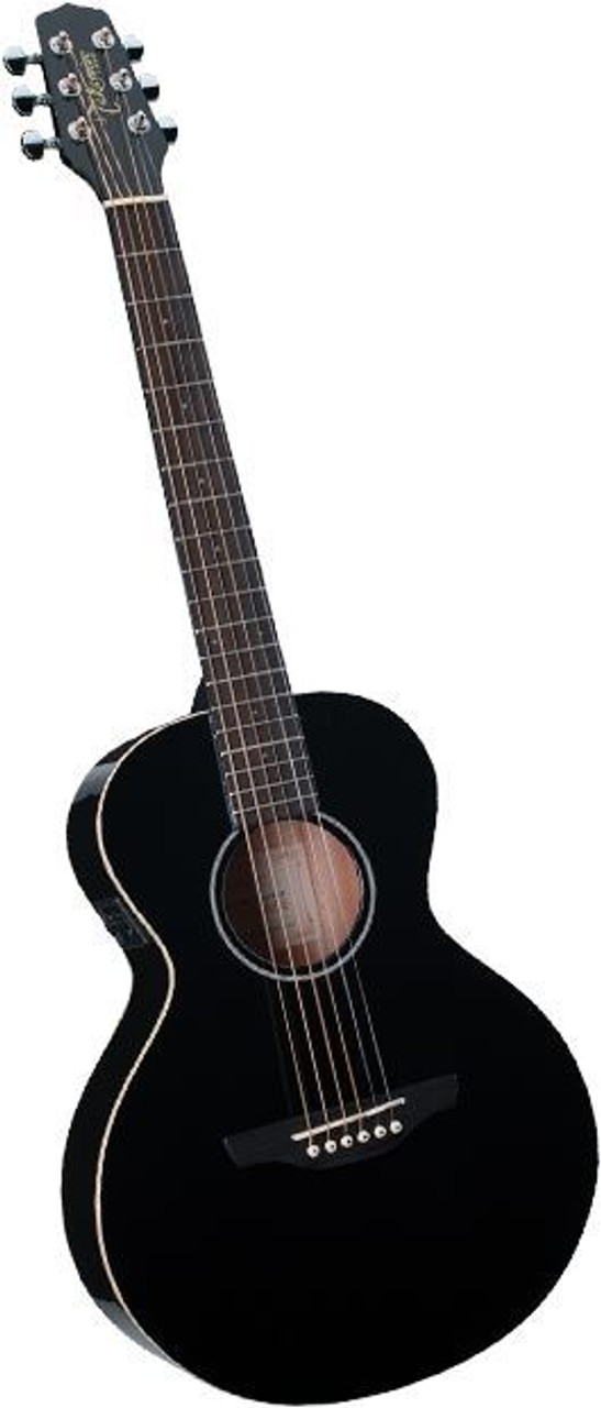 takamine eg mini