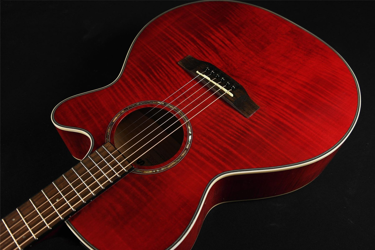 takamine g series 535