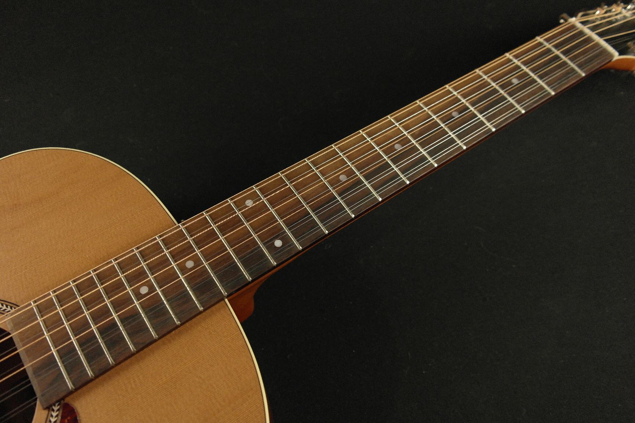 seagull 12 string acoustic electric