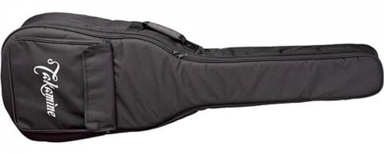 takamine guitar bag