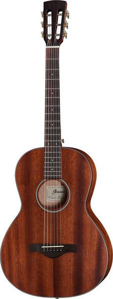 Ibanez AVN9-OPN ACOUSTIC THERMO AGED