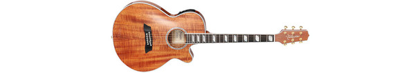Takamine TSP178ACK-N Thinline Nex Acoustic Guitar Natural Gloss W/ Case