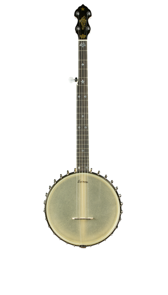 Eastman EBJ-WL1  Open Back Banjo Top (EBJ)