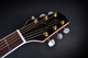 Takamine EG523CDX-HB Deluxe Acoustic/Electric Jumbo - Honey Burst (876)